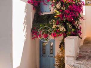The City Where The Houses are Decorated With Flowers