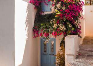The City Where The Houses are Decorated With Flowers