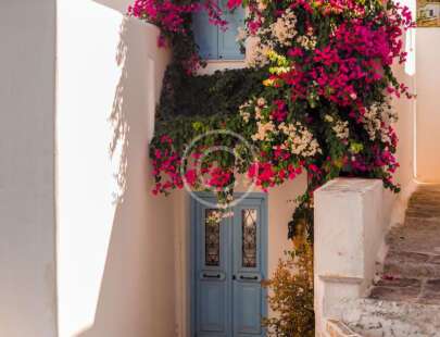 The City Where The Houses are Decorated With Flowers